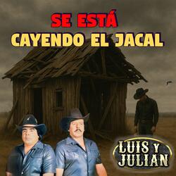 Se Está Cayendo El Jacal
