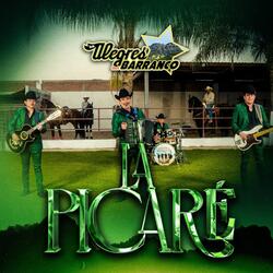 La Picaré (En Vivo)