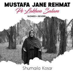 Mustafa Jane Rehmat Pe Lakhon Salam (Lofi-Mix)