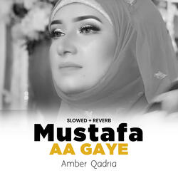 Mustafa Aa Gaye (Lofi-Mix)