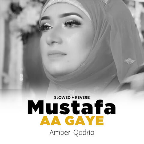 Mustafa Aa Gaye (Lofi-Mix)