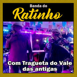Rainha do nheco nheco