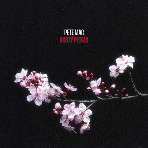 Dusty Petals