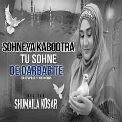Sohneya Kabootra Tu Sohne De Darbar Te (Lofi-Mix)