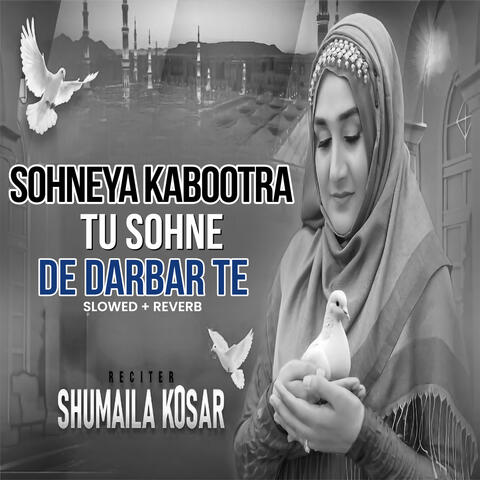 Sohneya Kabootra Tu Sohne De Darbar Te (Lofi-Mix)
