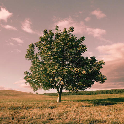 The wind knows your name
