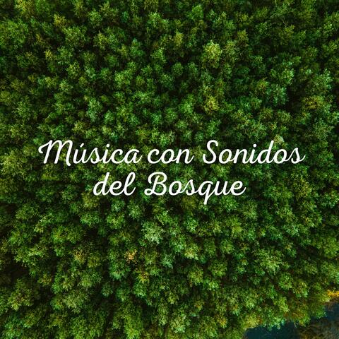 Música con Sonidos del Bosque