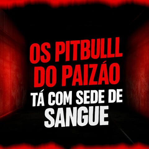 Os pitbull do paizão ta com sede de sangue
