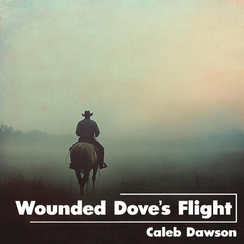 Wounded Dove’s Flight