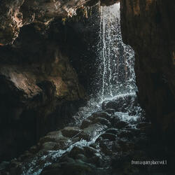 Light Through the Trees