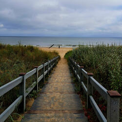 snoopy come home pt. 2