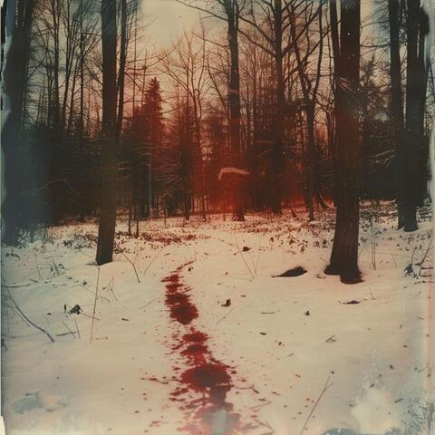 Dark Ambient Vibes for Chilling