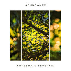 Abundance