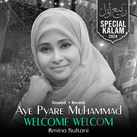 Aye Pyare Muhammad Welcome Welcome (Lofi-Mix)