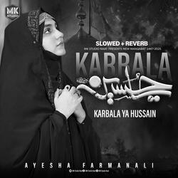 Karbala Karbala Ya Hussain (Lofi-Mix)