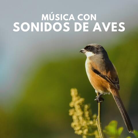 Música con Sonidos de Aves