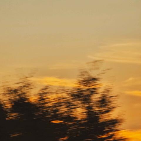 beyond this moment