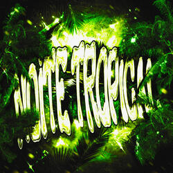 NOITE TROPICAL