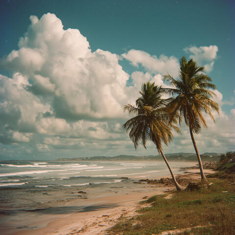 Under the Soft Cloud