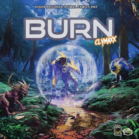 Burn