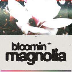 Bloomin Magnolia