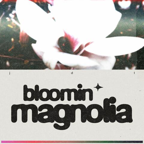 Bloomin Magnolia