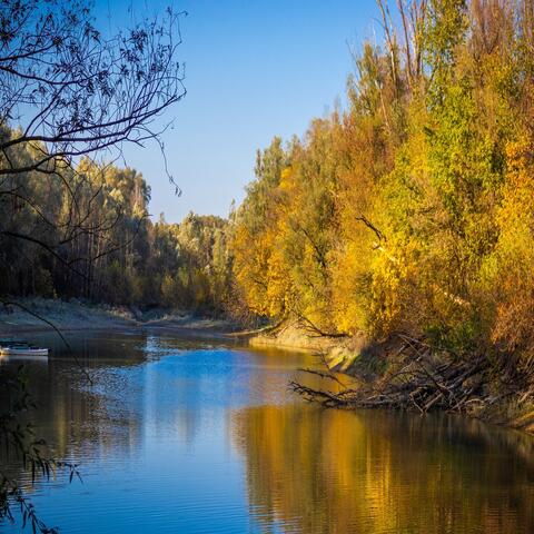 Věj větříčku z Dunaje