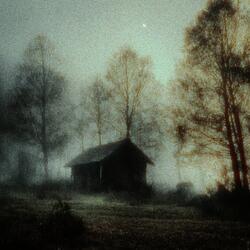 Shelter