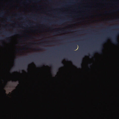 embers in still air