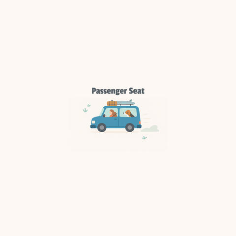 Passenger Seat