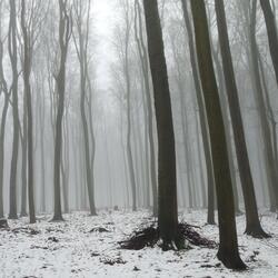 Až já půjdu, povandruju