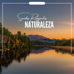 Sonidos Relajantes Naturaleza (P36)