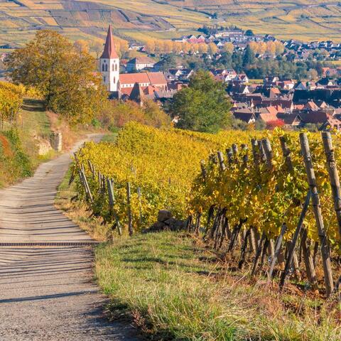 Když jsem šel z Hradišťa aneb Slovácký ro(c)k