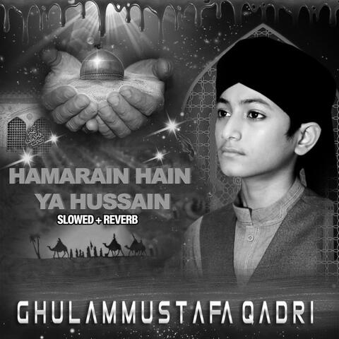 Hamarain Hain Ya Hussain (Lofi-Mix)