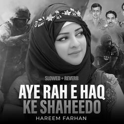Aye Rah E Haq Ke Shaheedo (Lofi-Mix)