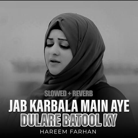 Jab Karbala Main Aye Dulare Batool ky (Lofi-Mix)