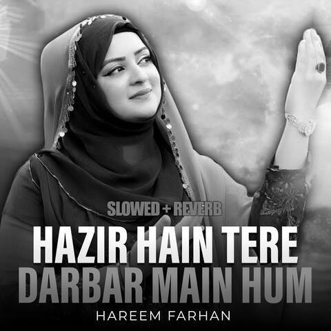 Hazir Hain Tere Darbar Main Hum (Lofi-Mix)