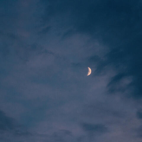 in a shared dream