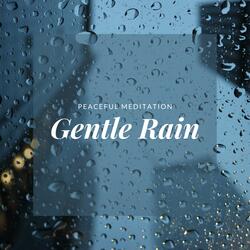 Peaceful Meditation: Gentle Rain (P21)