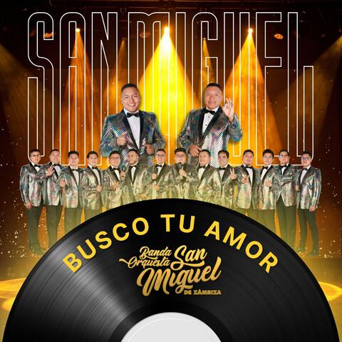 Busco Tu Amor