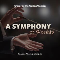 I Worship You, Almighty God