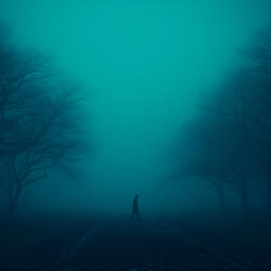 foggy skies