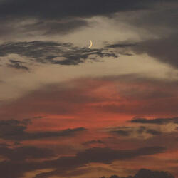 all the sweet things