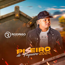 Vaqueiro Disfarçado