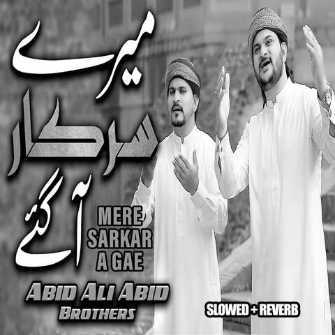 Mere Sarkar A Gae Lofi Version