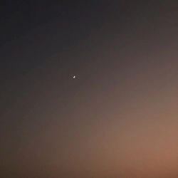 venus at dawn