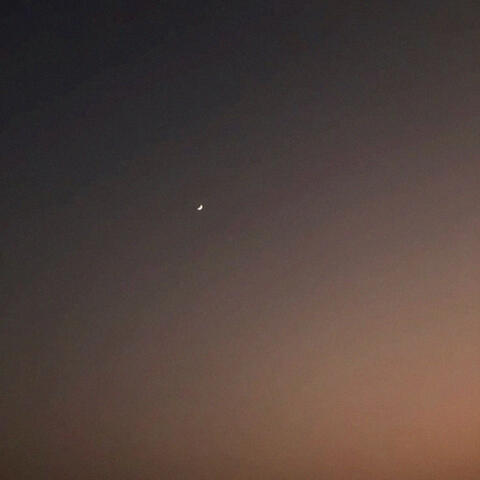 venus at dawn