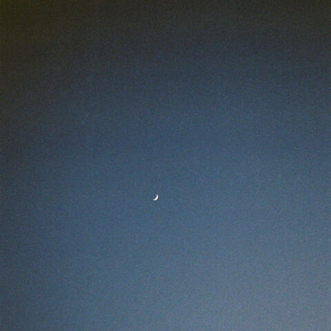 swaying in the stars