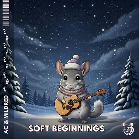 Soft Beginnings
