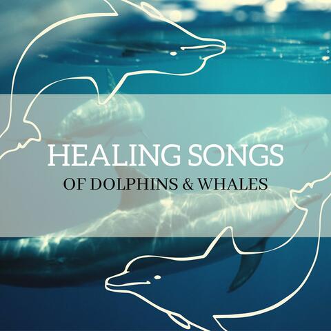 Healing Songs of Dolphins & Whales: Relaxing Underwater Music, Meditation & Yoga Music